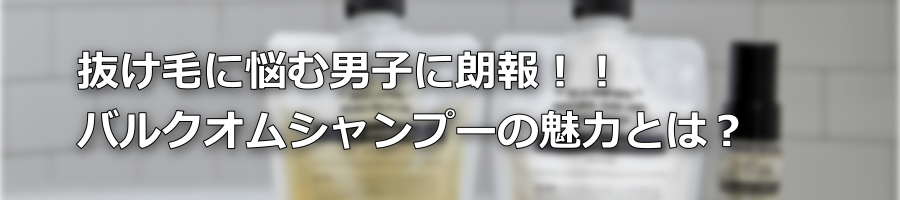�����тɔY�ޒj�q�ɘN��I�I�o���N�I���V�����v�[�̖��͂Ƃ́H
